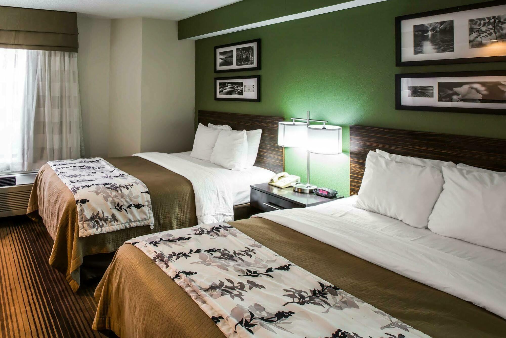 Sleep Inn & Suites Kingsport Tricities Airport Εξωτερικό φωτογραφία